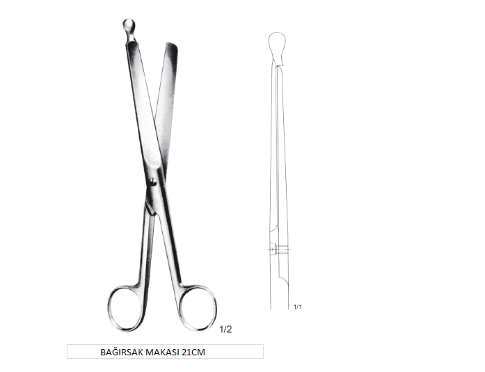                BAĞIRSAK MAKASI 21CM
