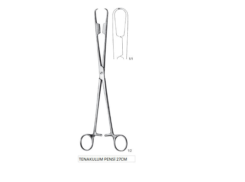 ABEL TENAKULUM PENSİ 27CM