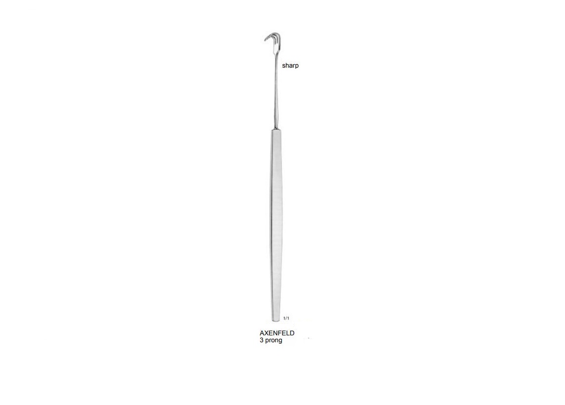AXENFELD EKARTÖR 3 ÇATAL DİŞLİ KESKİN 14 CM
