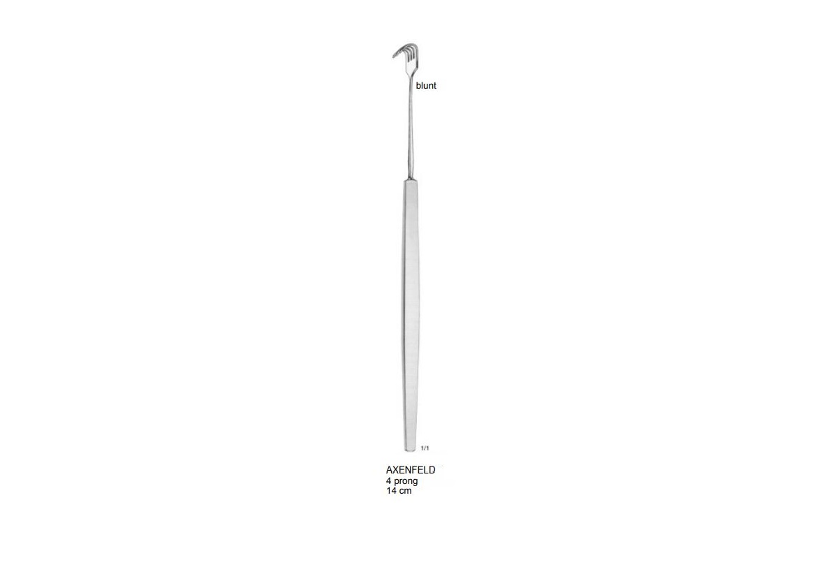 AXENFELD EKARTÖR 4 ÇATAL DİŞLİ KÜNT 14CM