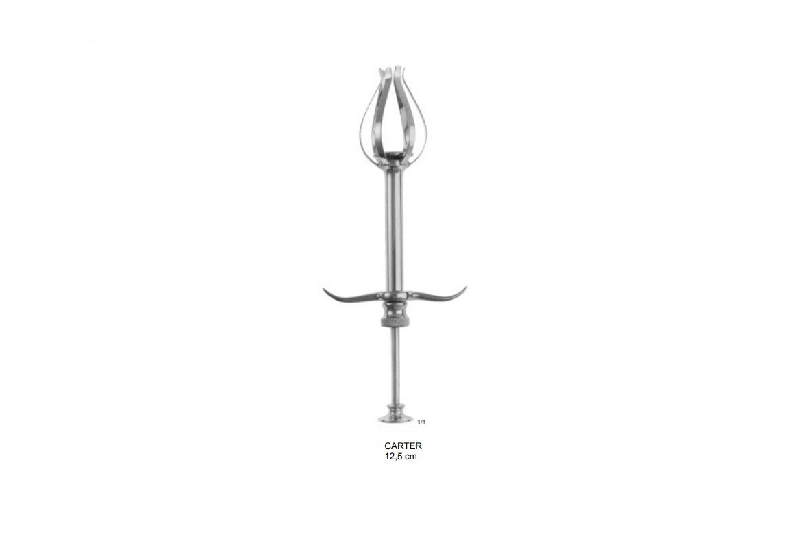 CARTER SPHERE INTRODUCER ()