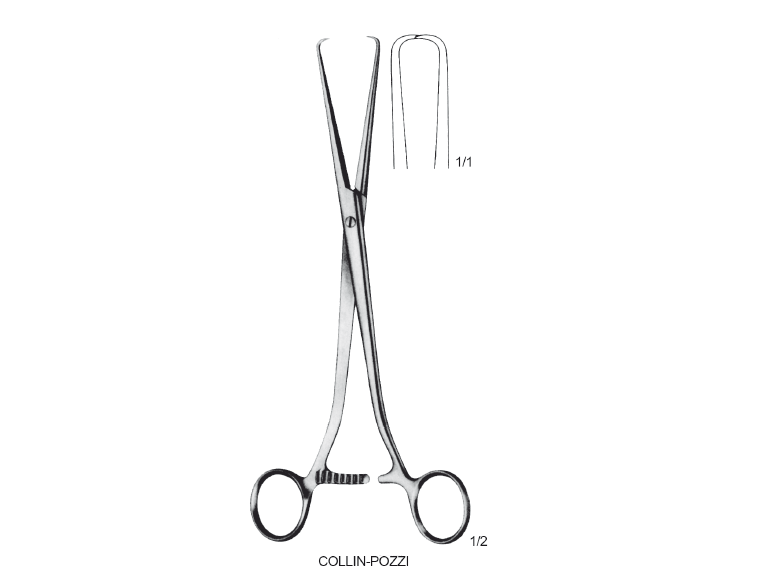 COLLIN POZZI TENAKULUM KLEMP 25 CM 