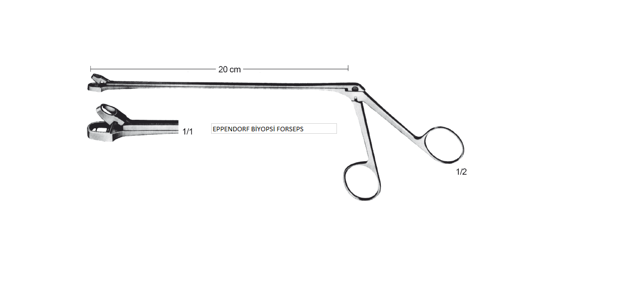EPPENDORF BİYOPSİ FORSEPS KOLKOSKOPİ İÇİN 20 CM