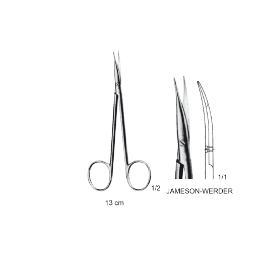 JAMESON-WERBER  MAKAS SİVRİ/SİVRİ EĞRİ 13CM