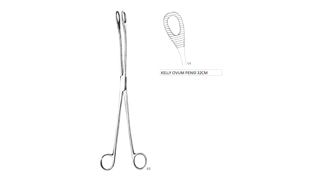 KELLY OVUM PENSİ 32CM