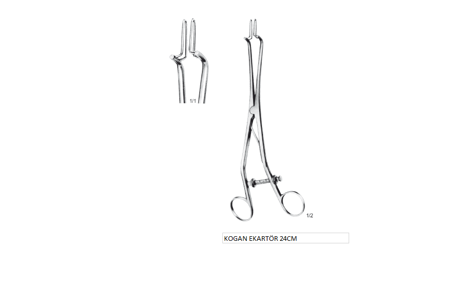 KOGAN EKARTÖR 24CM