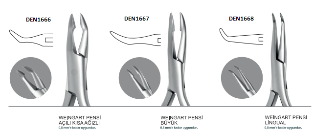 ORTODONTİ WEINGART PENSİ LİNGUAL 