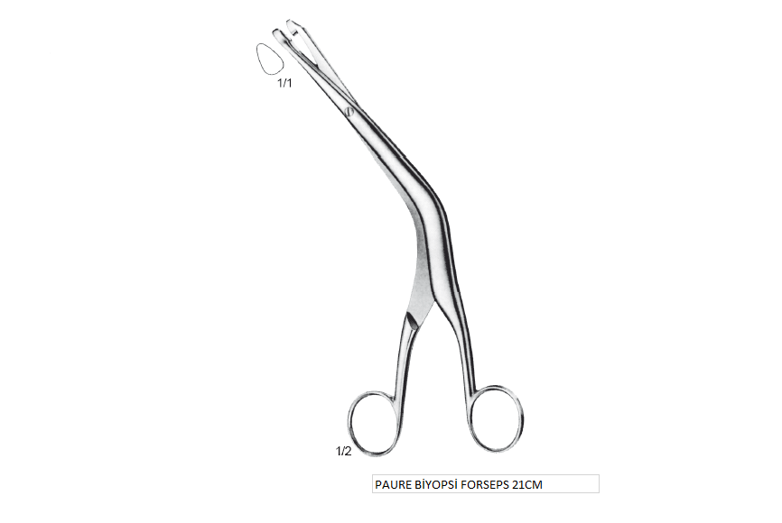 PAURE BİYOPSİ FORSEPS 21CM