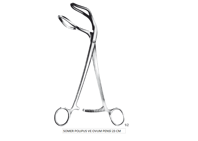 SOMER POLIPUS VE OVUM PENSİ 23 CM